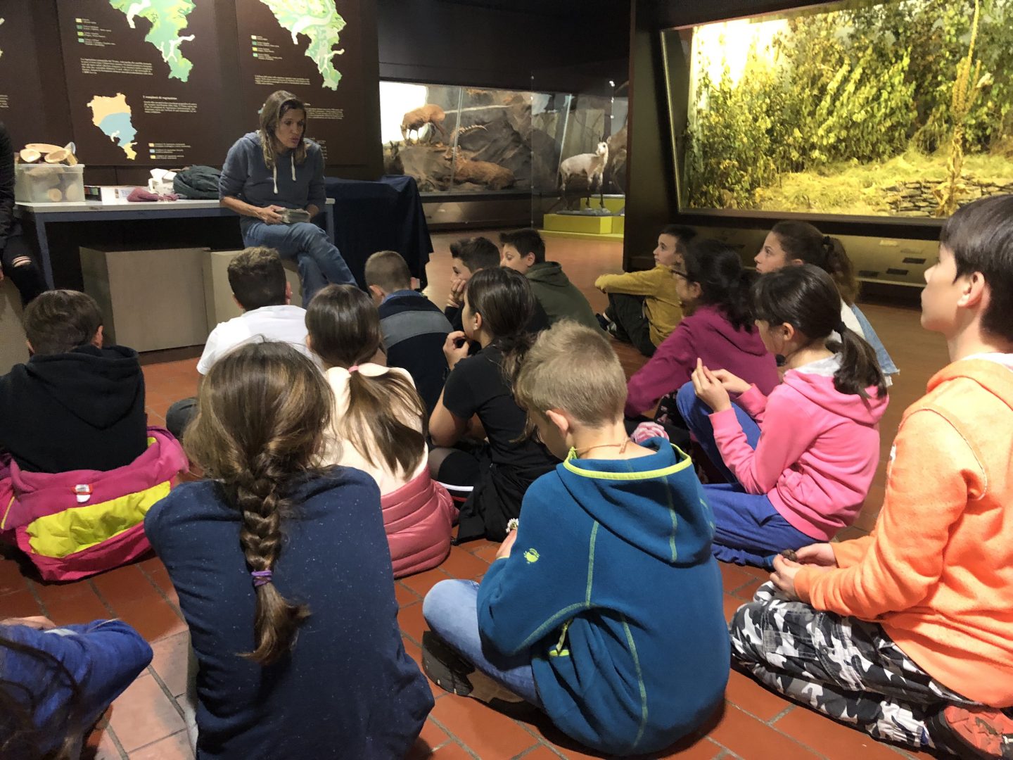 Museo Cantonale di Storia Naturale Lugano