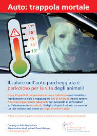 Auto: Trappola mortale – Campagna della Fondazione di protezione degli animali Susy Utziger
