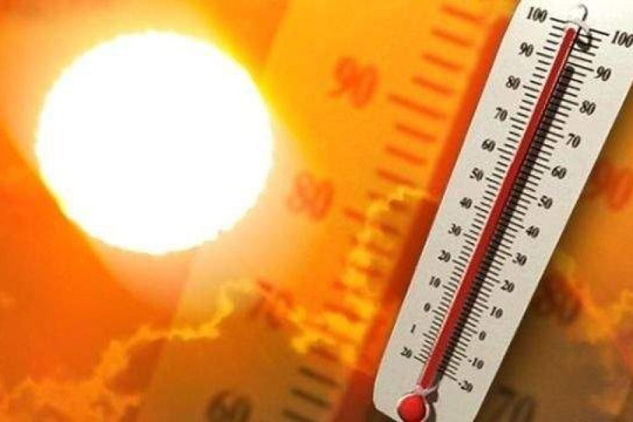 Canicola: essere pronti!