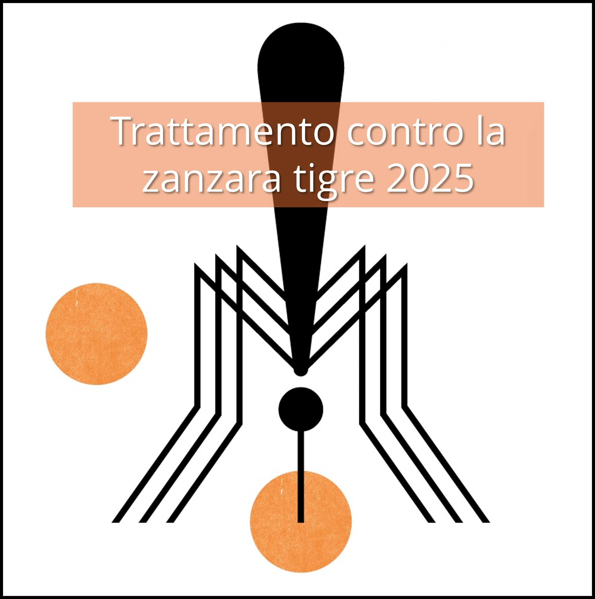 Zanzara tigre 2025 – granuli e trattamento