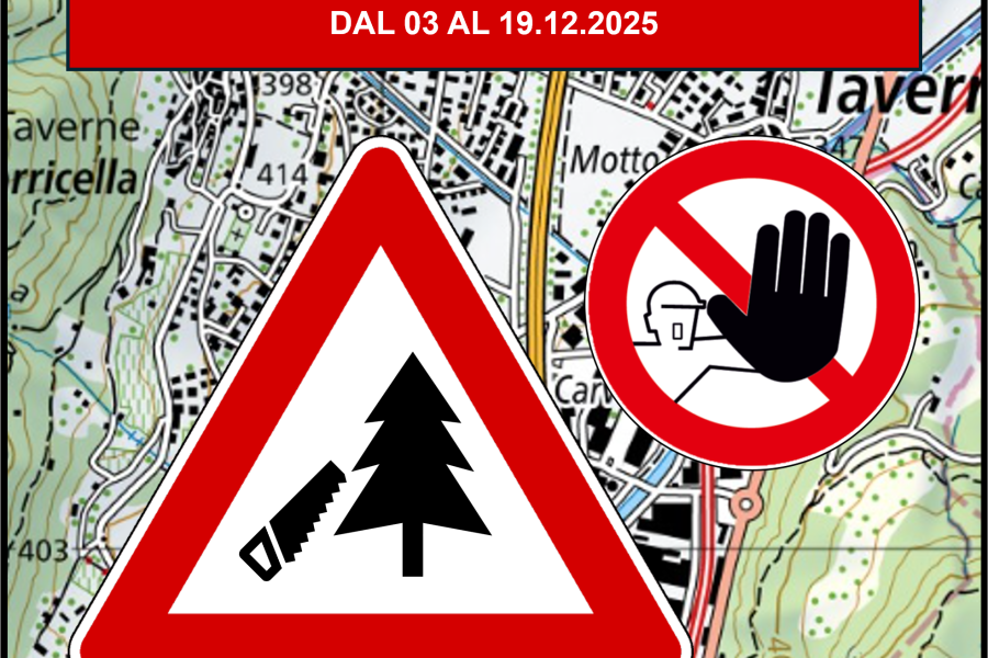 Avviso lavori di taglio ed esbosco dal 03 al 19 dicembre 2025