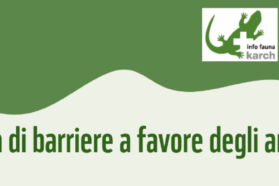 Ricerca volontari posa barriere a favore degli anfibi