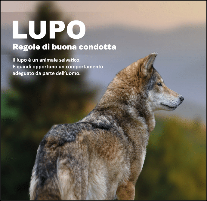LUPO – Regole di buona condotta